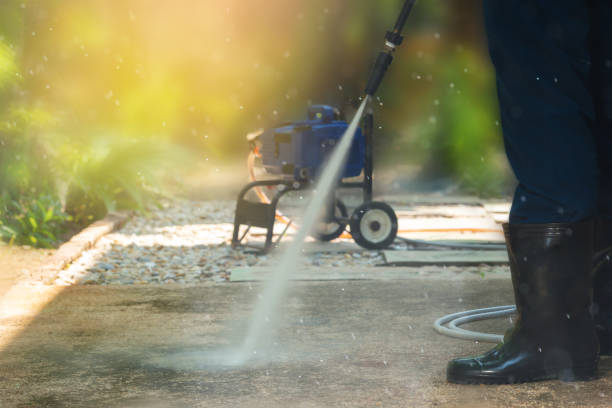 Best Fence Cleaning  in Black River, NY