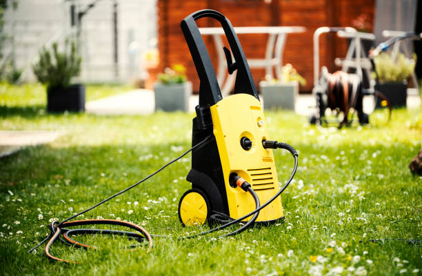 Animal Enclosure Cleaning in Black River, NY
